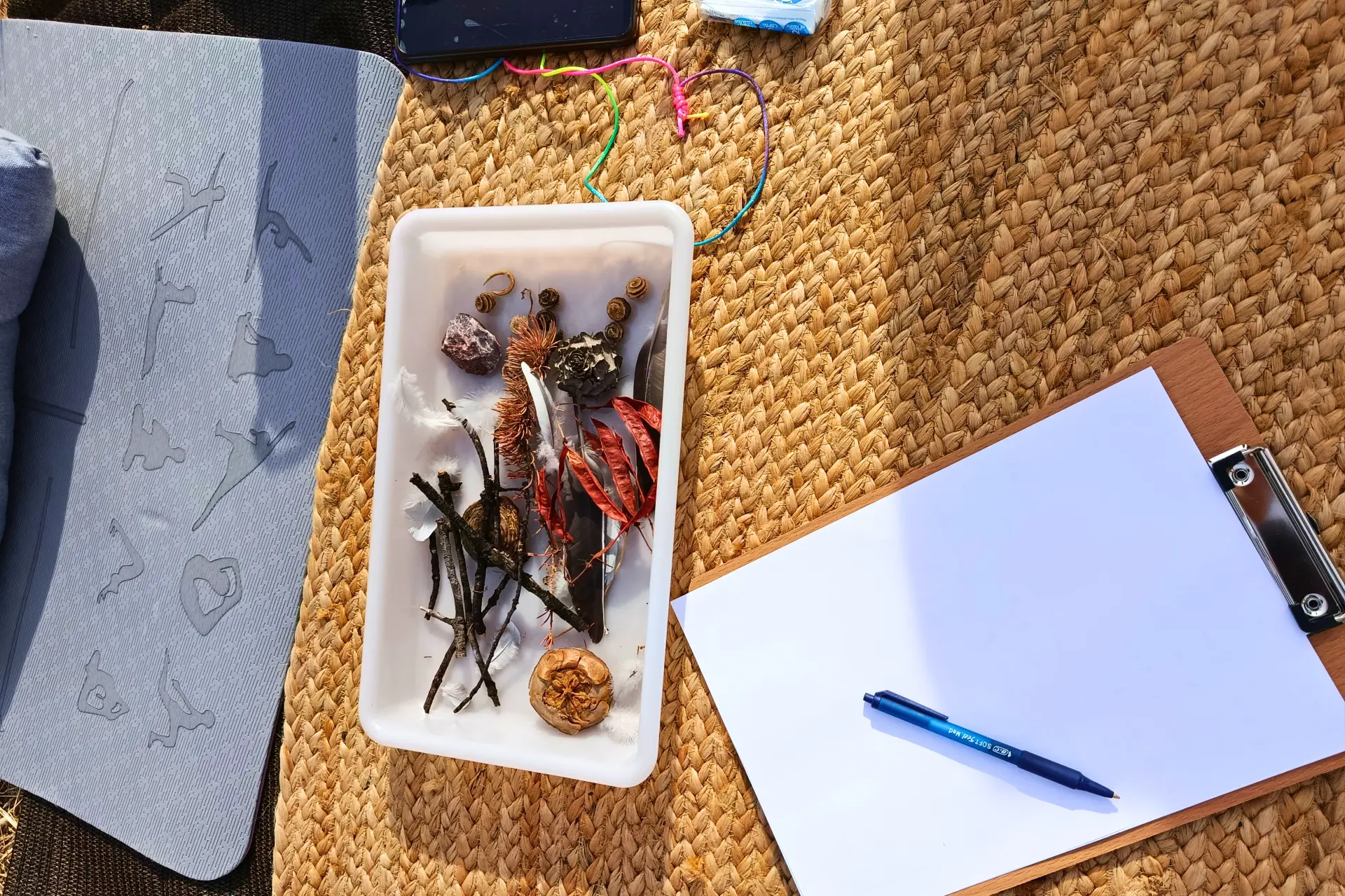 Soltar y renovar en la Naturaleza