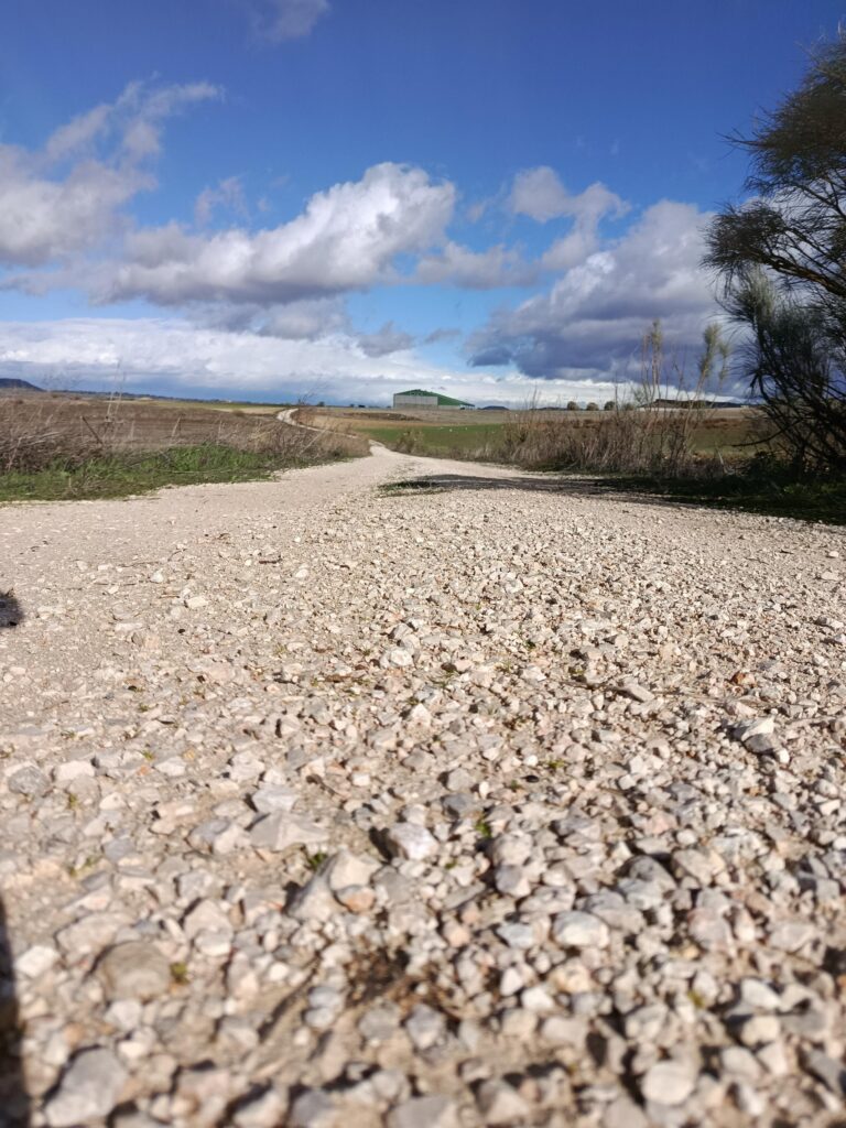 Camino de grava en entorno rural con cielo despejado y árboles en el fondo.